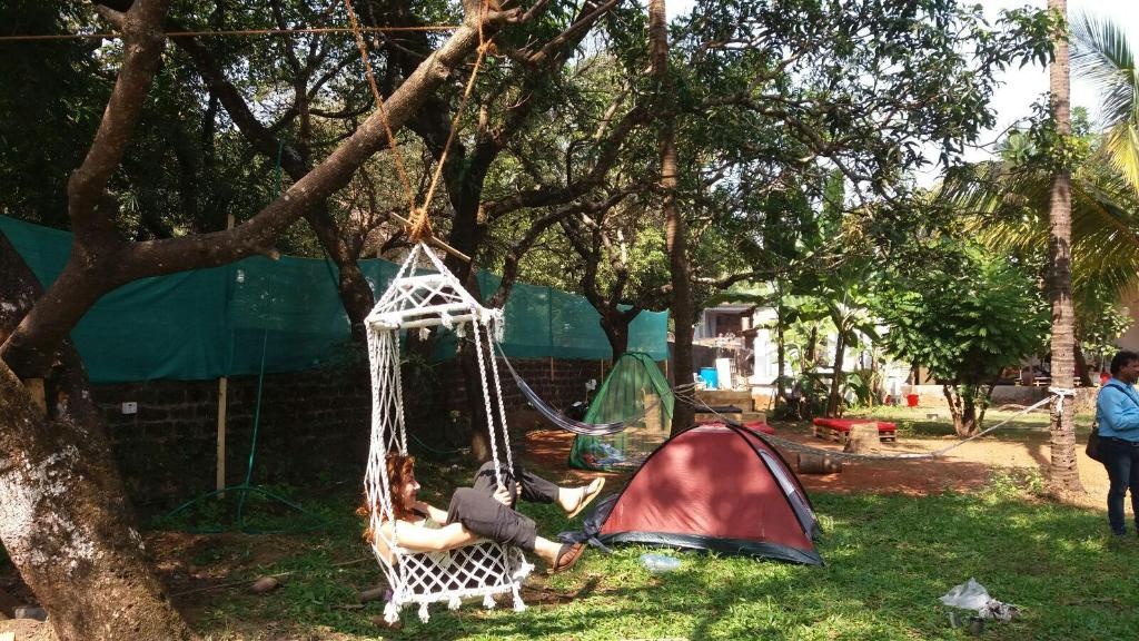 The Lazy Llama Hostel  Facilities  Public Areas 2