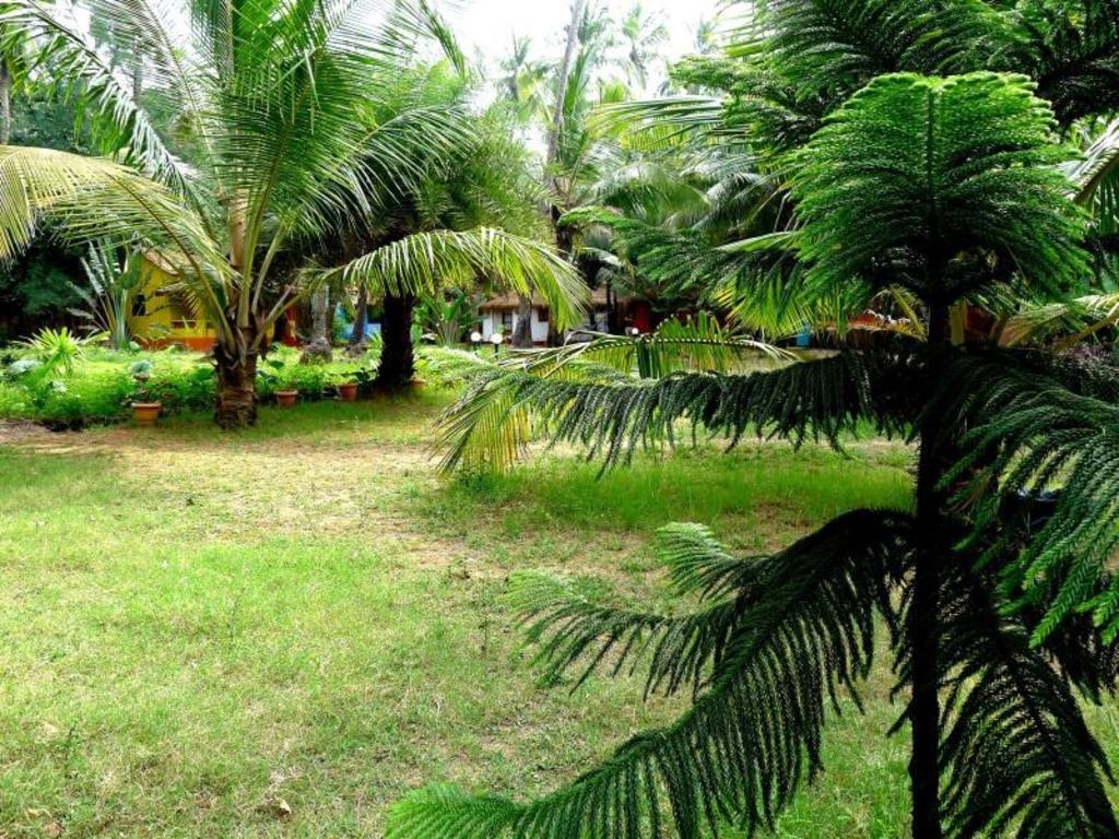 Mamagoa Beach Resort  Facilities  Garden 8