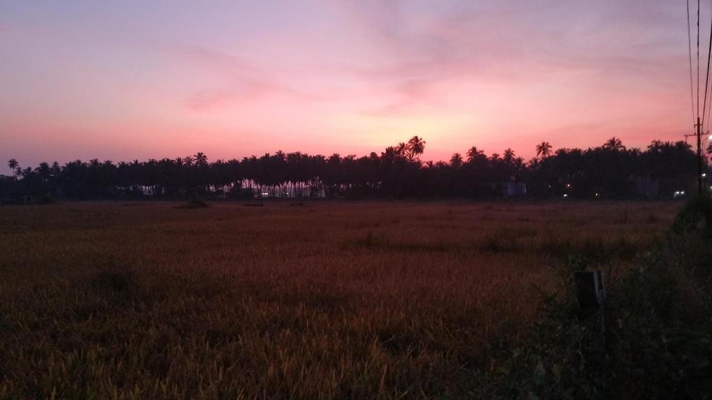 White Castles Anjuna Villa  Property Views  View 6