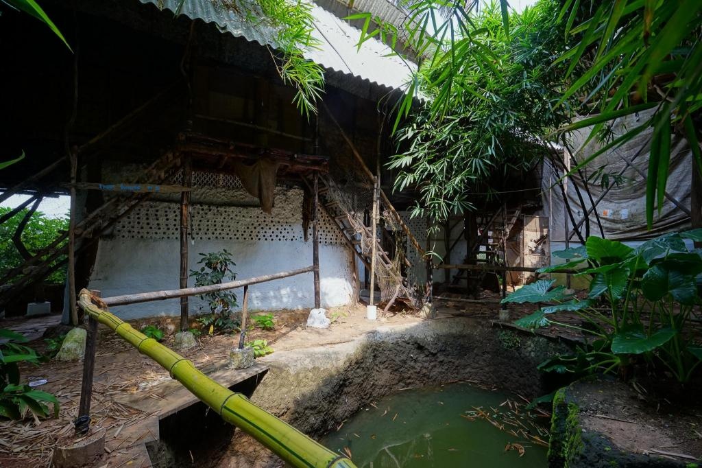 Saraya Bed And Breakfast  Property Views  Exterior View 7