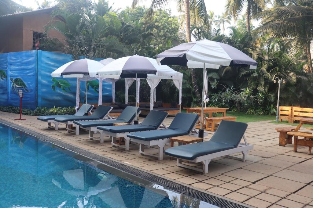 Turtle Beach Resort Morjim  Facilities  Swimming Pool 10
