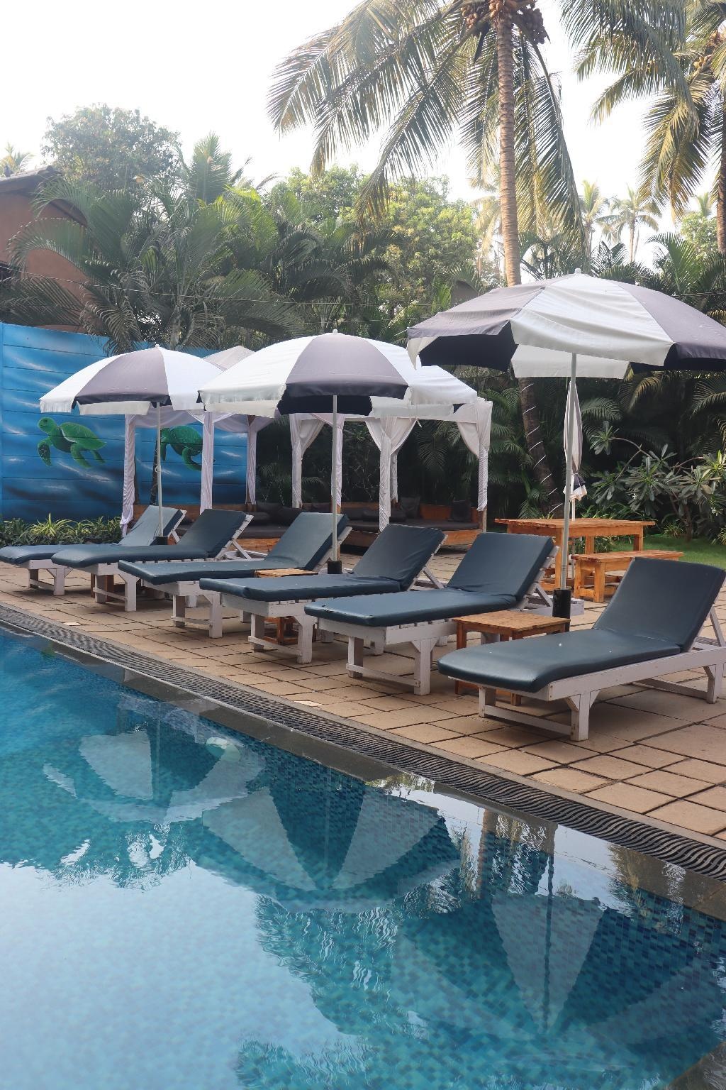 Turtle Beach Resort Morjim  Facilities  Swimming Pool 4