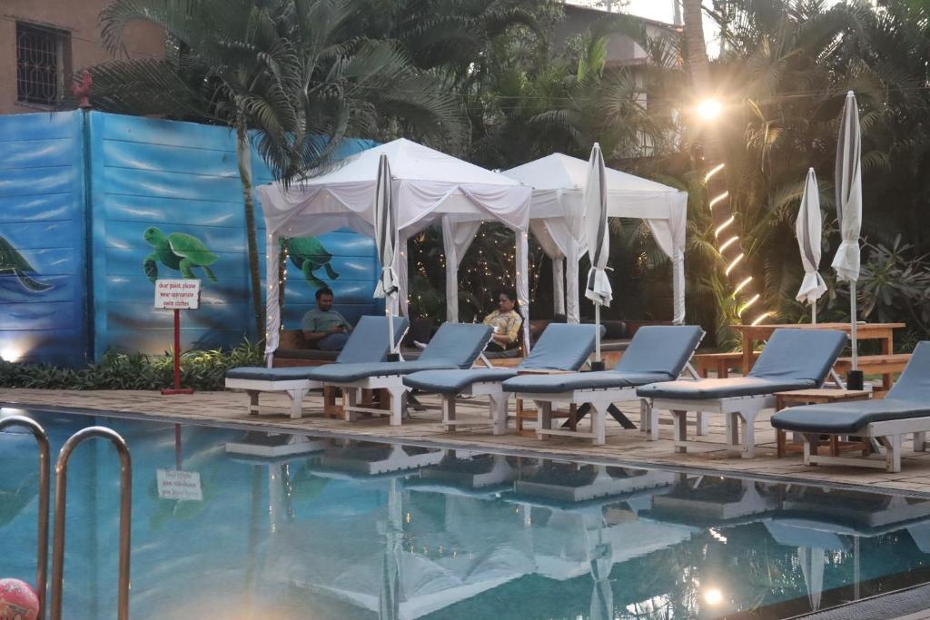 Turtle Beach Resort Morjim  Facilities  Swimming Pool 8