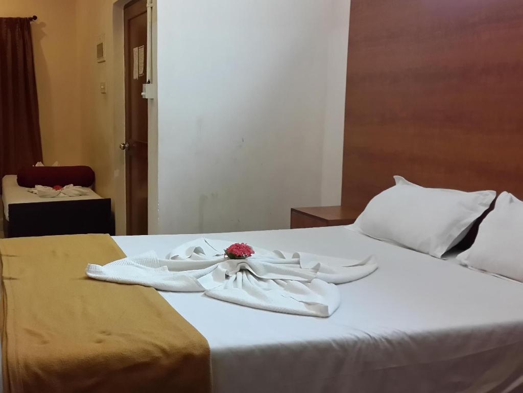 Maizons Lakeview Resort  Rooms  Standard AC Room 2