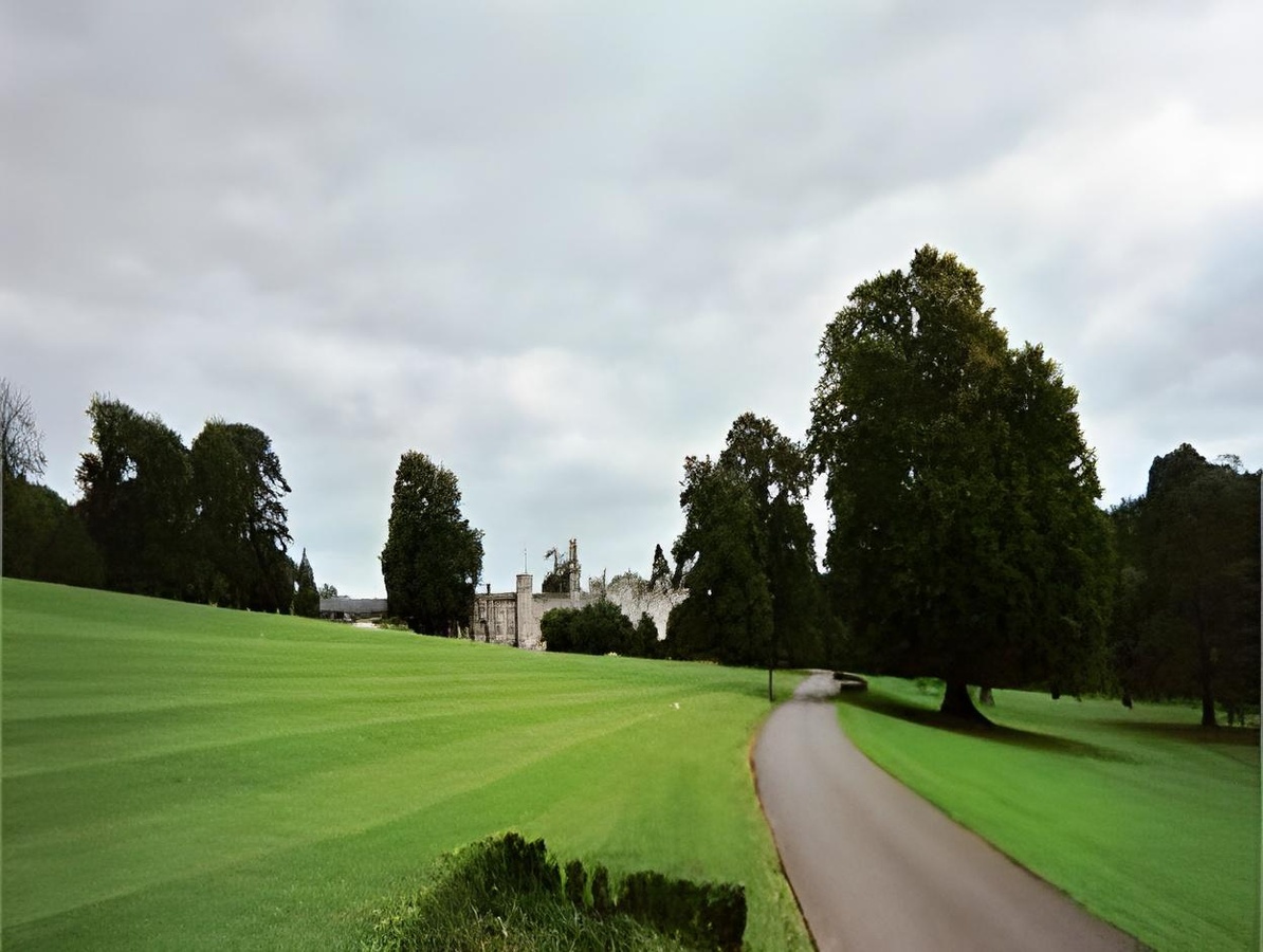 Cabra Castle Hotel FacilitiesGolf Course On Site 28