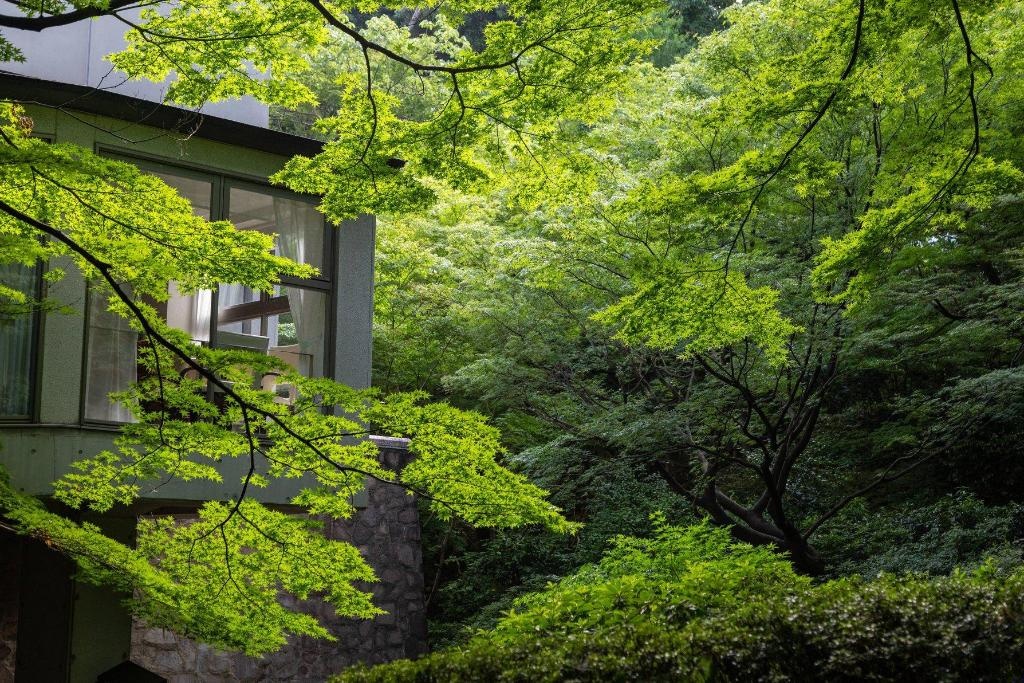 Sheraton Miyako Hotel Tokyoroomsrooms Image 1919