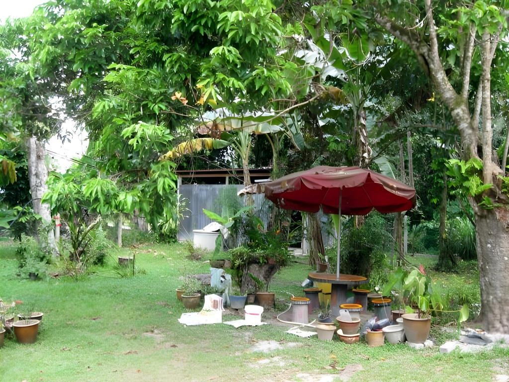 Mudin Hasan Homestay  Facilities  Surrounding Environment 1
