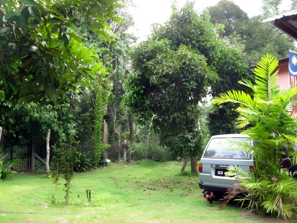 Mudin Hasan Homestay  Facilities  Surrounding Environment 3