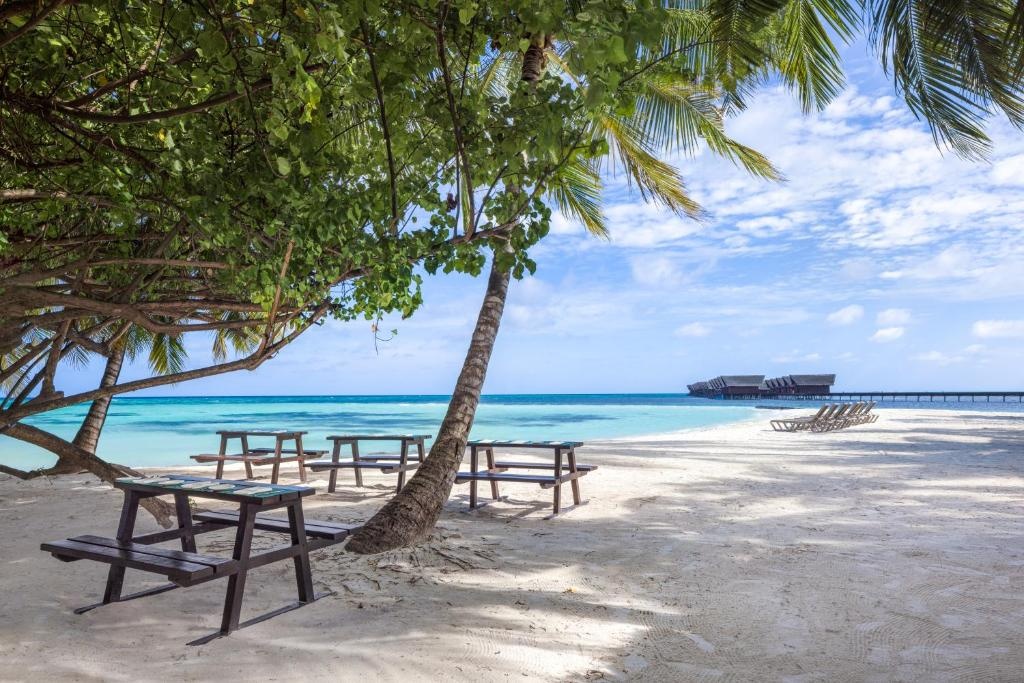 Adaaran Select Huduran Fushi 24hrs Dine Around Premium All Inclusive  Facilities  Beach 52