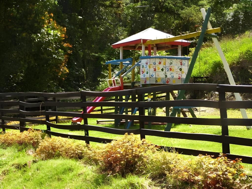 TREE TREK BOQUETE Adventure Park  Facilities  Playground 2