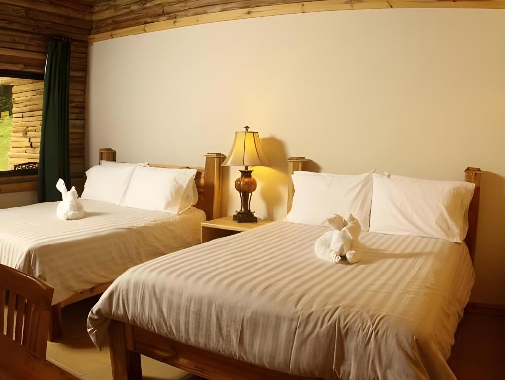TREE TREK BOQUETE Adventure Park  Rooms  Queen Room With Two Queen Beds 10
