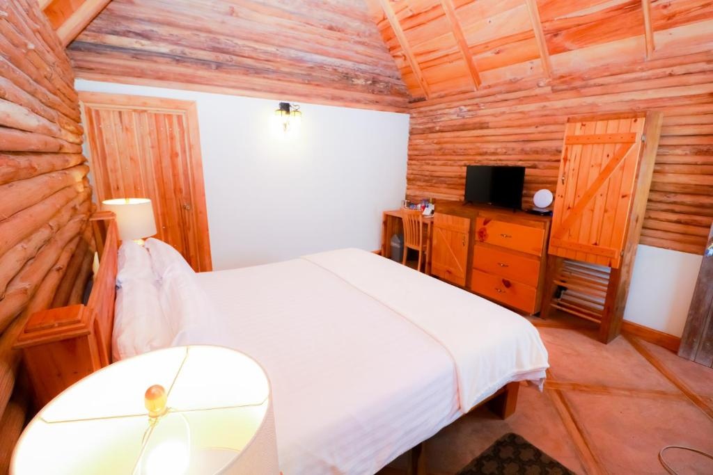 TREE TREK BOQUETE Adventure Park  Rooms  Queen Room 11