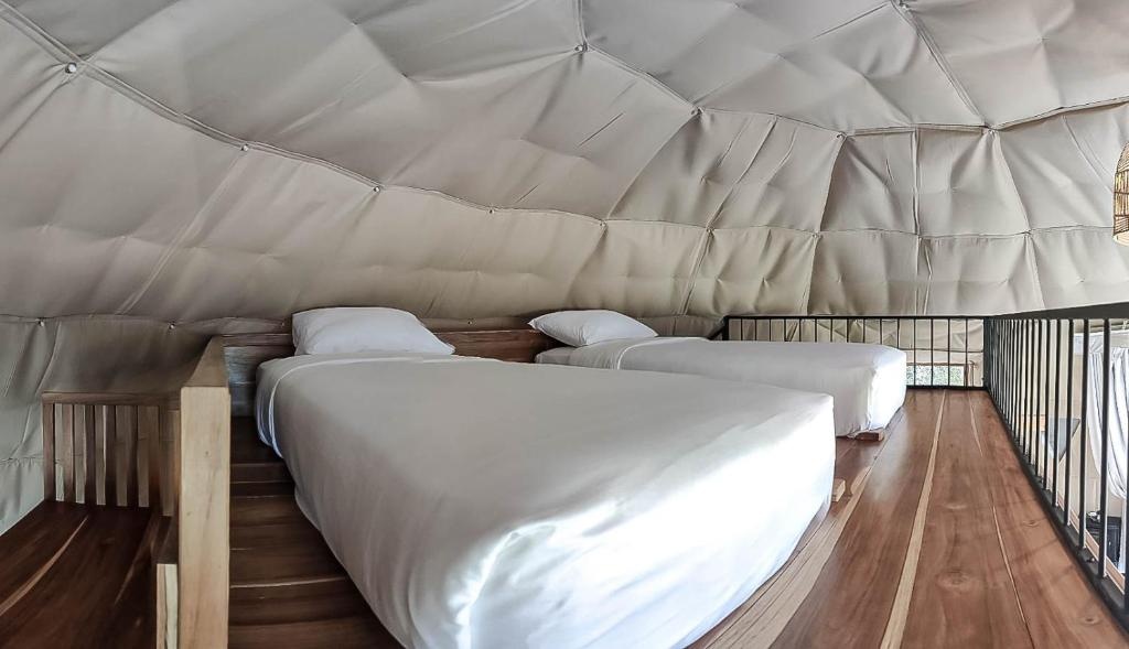 TREE TREK BOQUETE Adventure Park  Rooms  Rooms Image 18 18