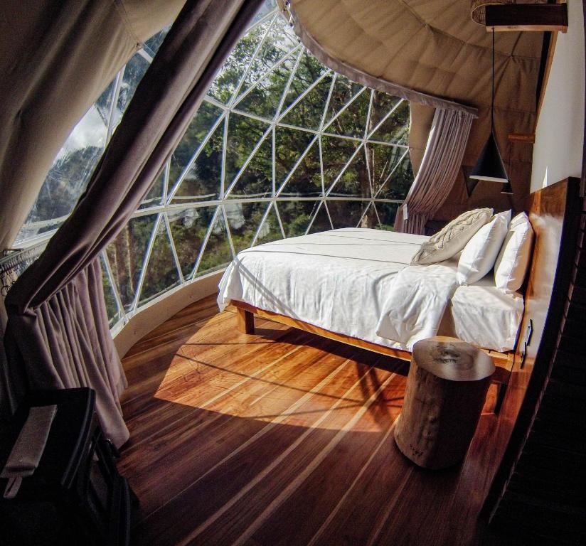 TREE TREK BOQUETE Adventure Park  Rooms  Rooms Image 5 5