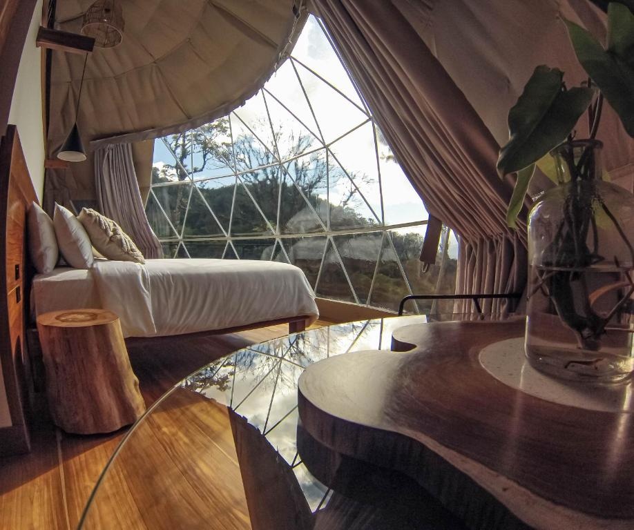 TREE TREK BOQUETE Adventure Park  Rooms  Rooms Image 7 7