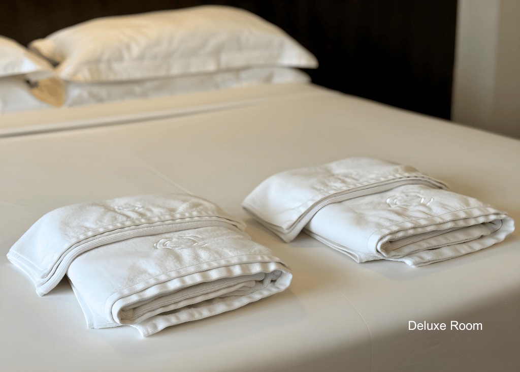 Citylight Hotel__rooms__Deluxe Room With Air Conditioning Room Plan_7