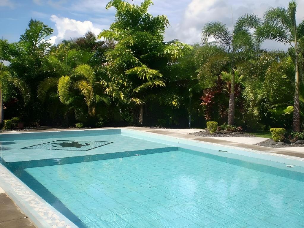 Pasefika Inn  Facilities  Swimming Pool 2