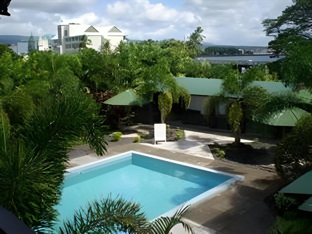 Pasefika Inn  Facilities  Swimming Pool 4
