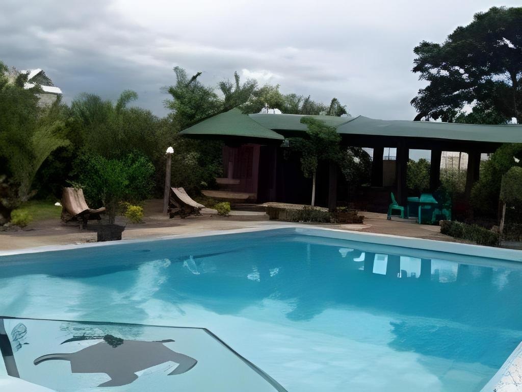 Pasefika Inn  Facilities  Swimming Pool 6
