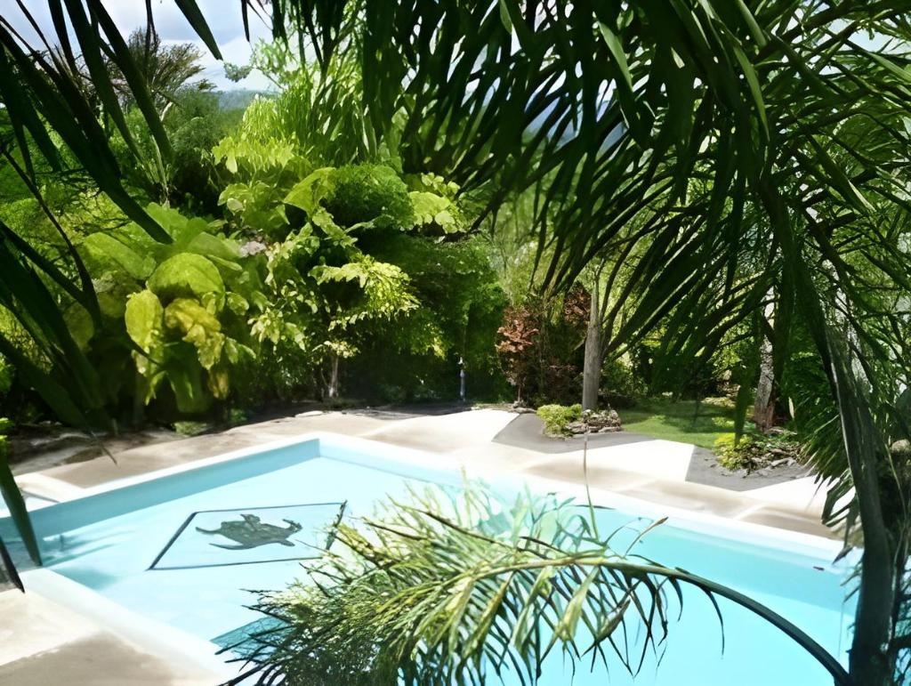 Pasefika Inn  Facilities  Swimming Pool 7