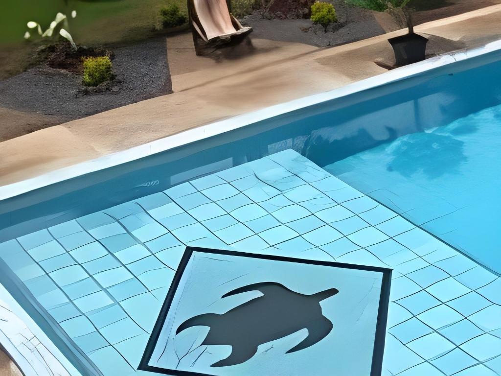 Pasefika Inn  Facilities  Swimming Pool 8