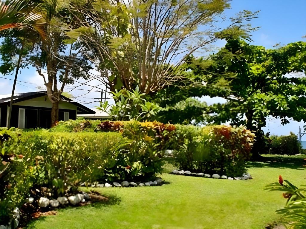 Vaiala Beach Cottages  Facilities  Garden 4