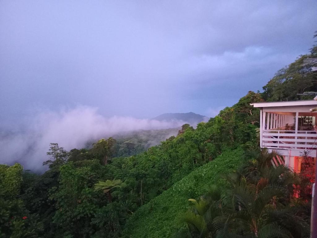 Dave Parker Eco Lodge Hotel  Facilities  Balconyterrace 9