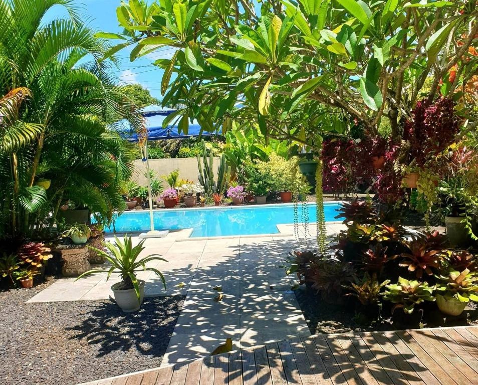 Vaea Hotel Samoa  Facilities  Swimming Pool 14