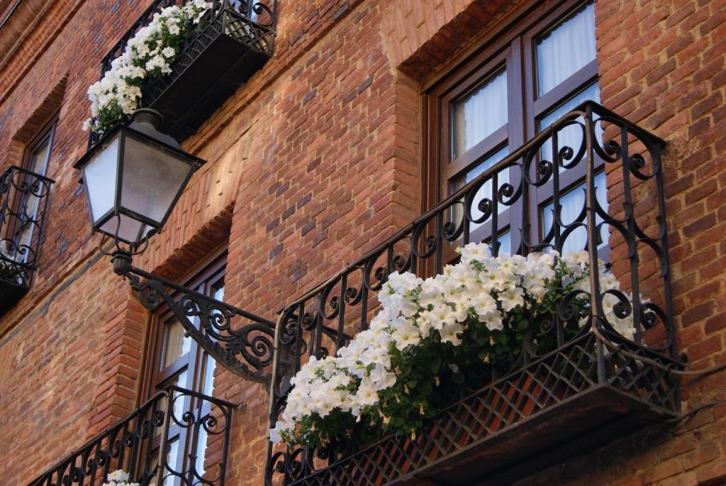 Hotel La Posada Regia  Property Views  Entrance 12