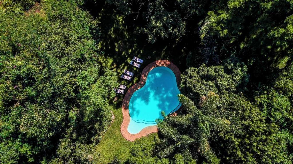 Mantenga Lodge  Facilities  Swimming Pool 3