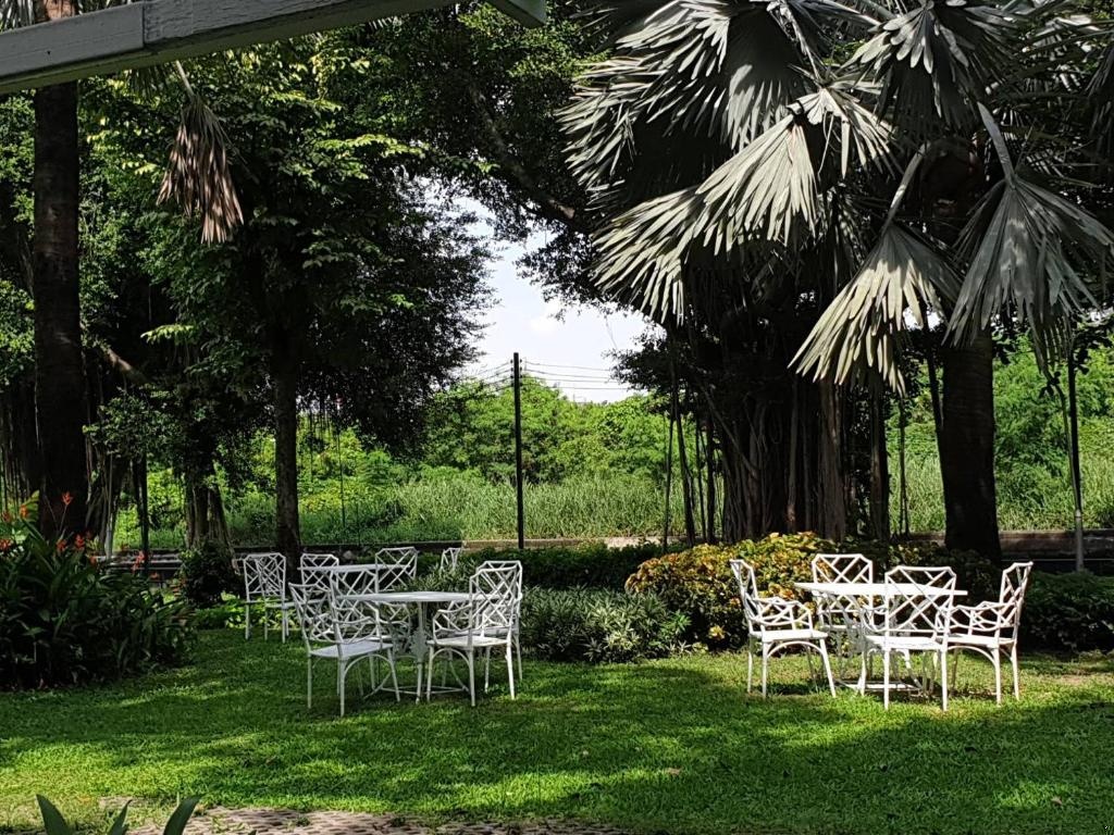 Montien Riverside Hotel Bangkok  Facilities  Garden 42