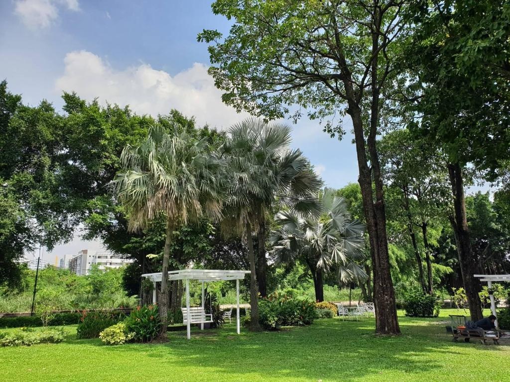 Montien Riverside Hotel Bangkok  Facilities  Garden 5