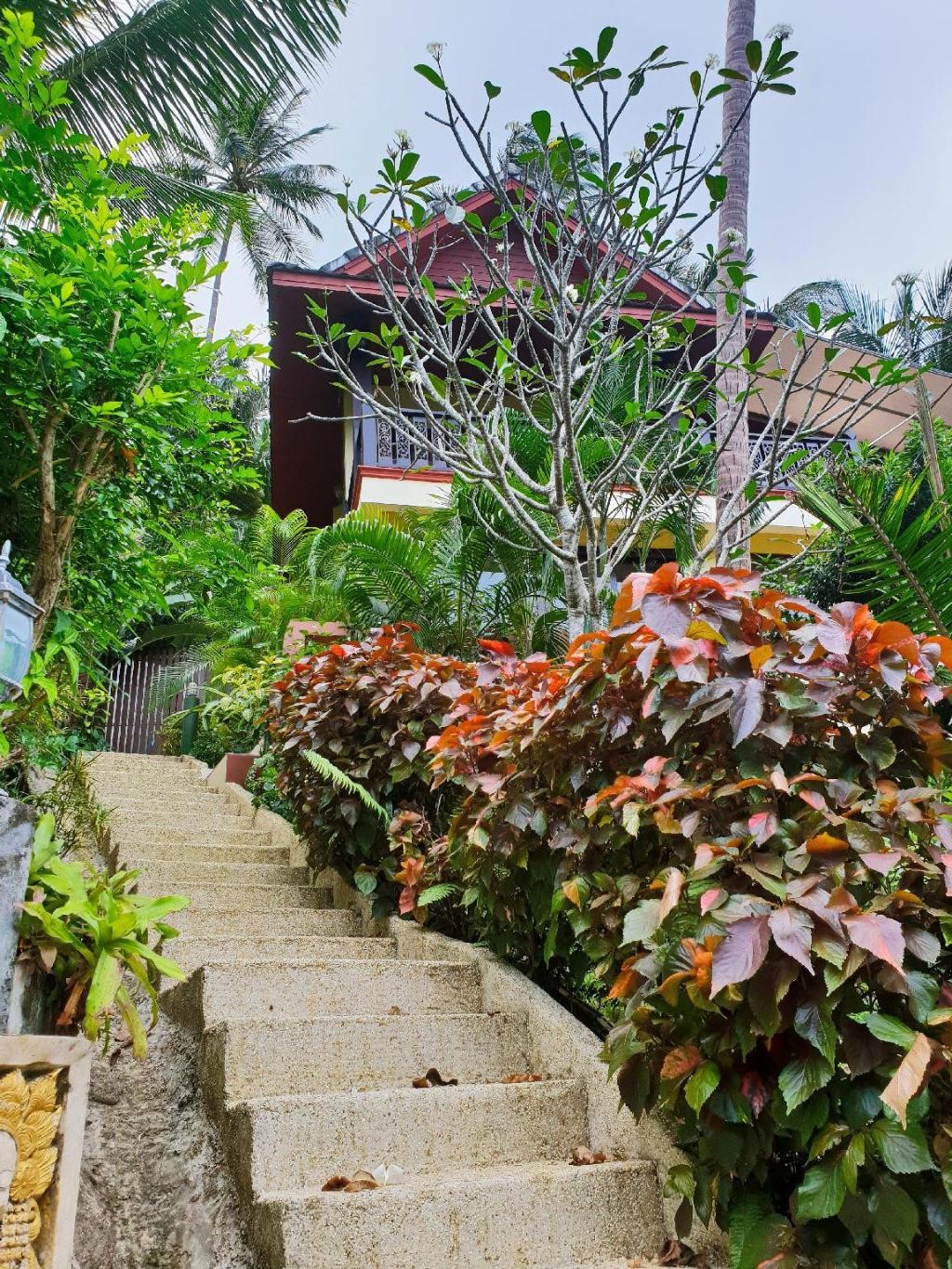 Laem Sila Resort  Facilities  Garden 7