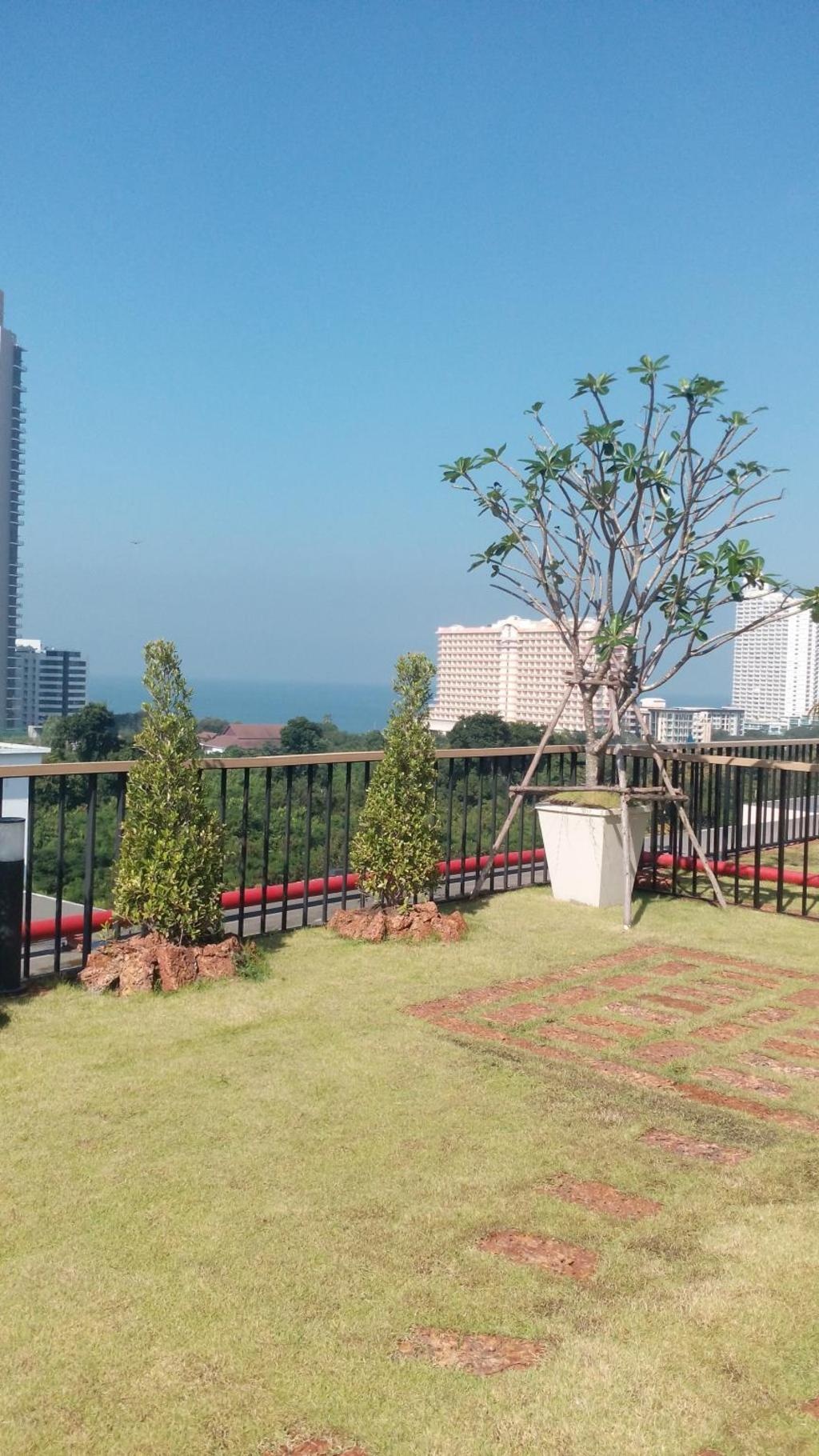 City Garden Tropicana By OlegpropertyviewsView3