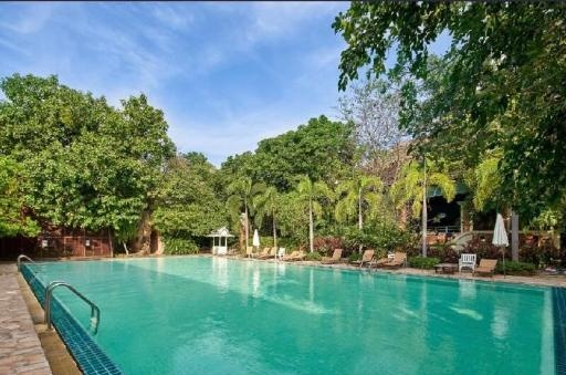 Fairtex Sports Club HotelfacilitiesSwimming Pool1