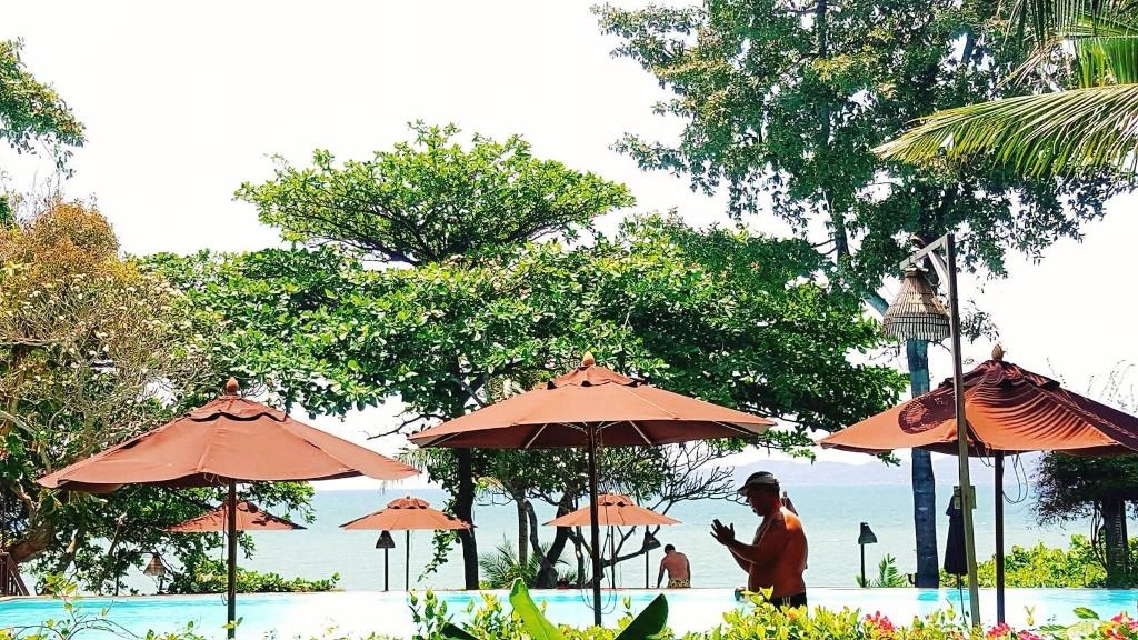 Birds And Bees ResortfacilitiesSwimming Pool Outdoor17