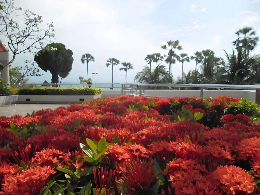 Jomtien PLAZA Condotel Apartment With 1 BedroomfacilitiesPublic Areas25