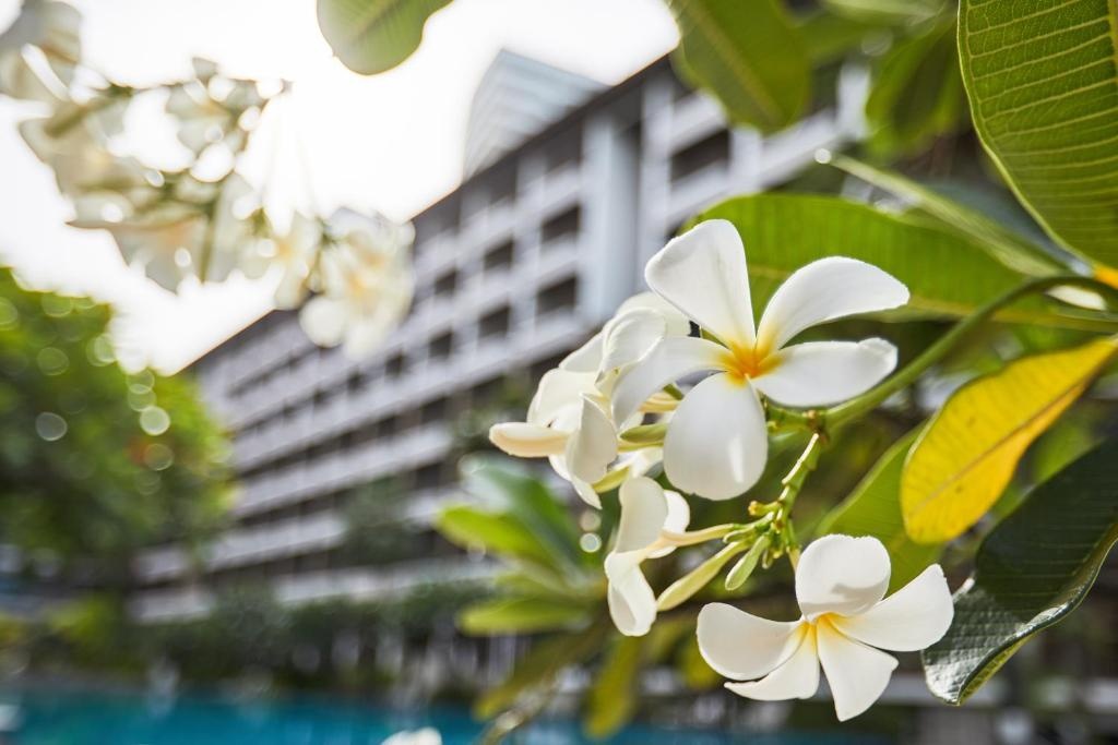 Welcome World Beachfront ResortfacilitiesGarden31