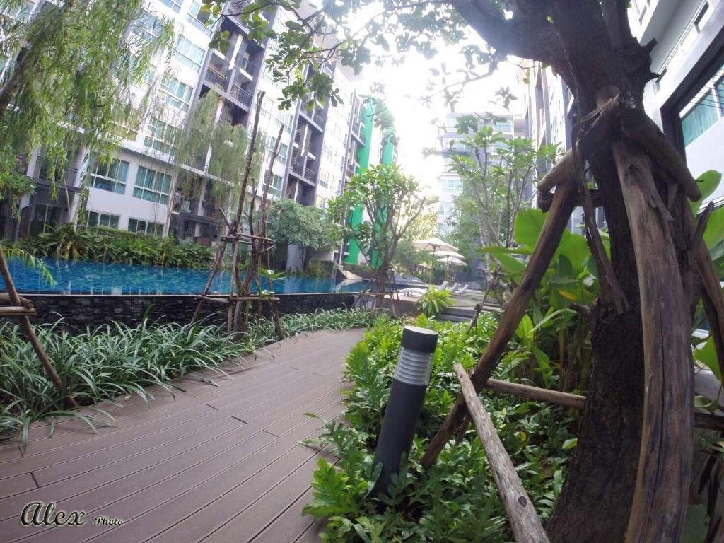 Naturaza Condo For RENTfacilitiesfacilities Image 55