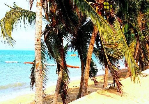 Lumpini Seaview Jomtien By StrandfacilitiesSurrounding Environment12