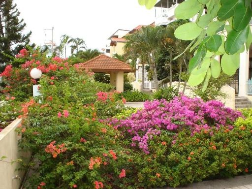 Amstellux Apartments No2facilitiesGarden9