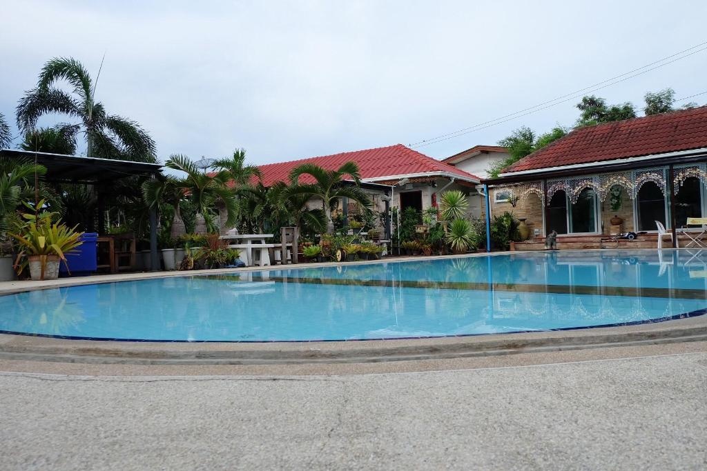 One D HomestayfacilitiesGarden17