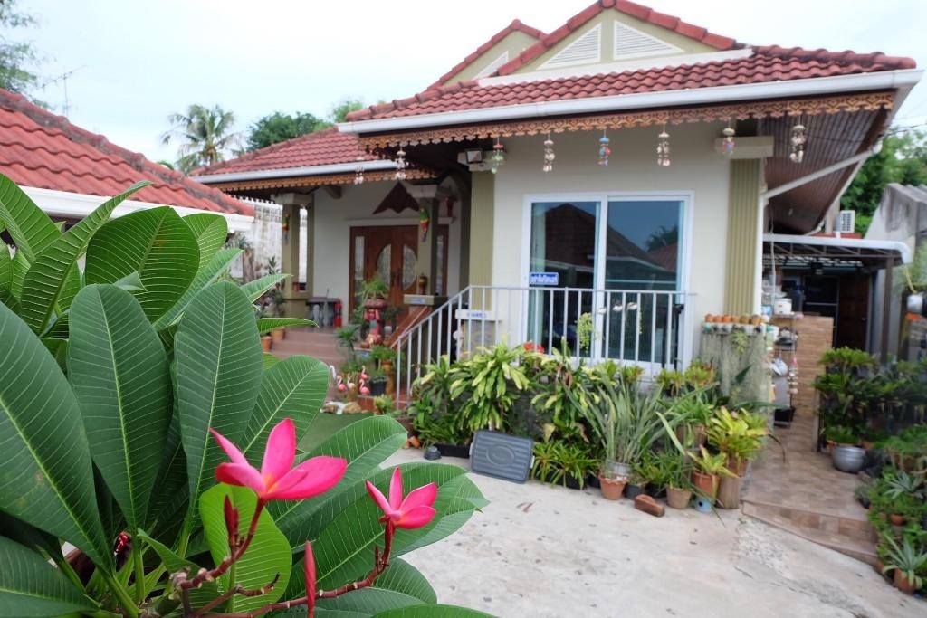 One D HomestayfacilitiesGarden41