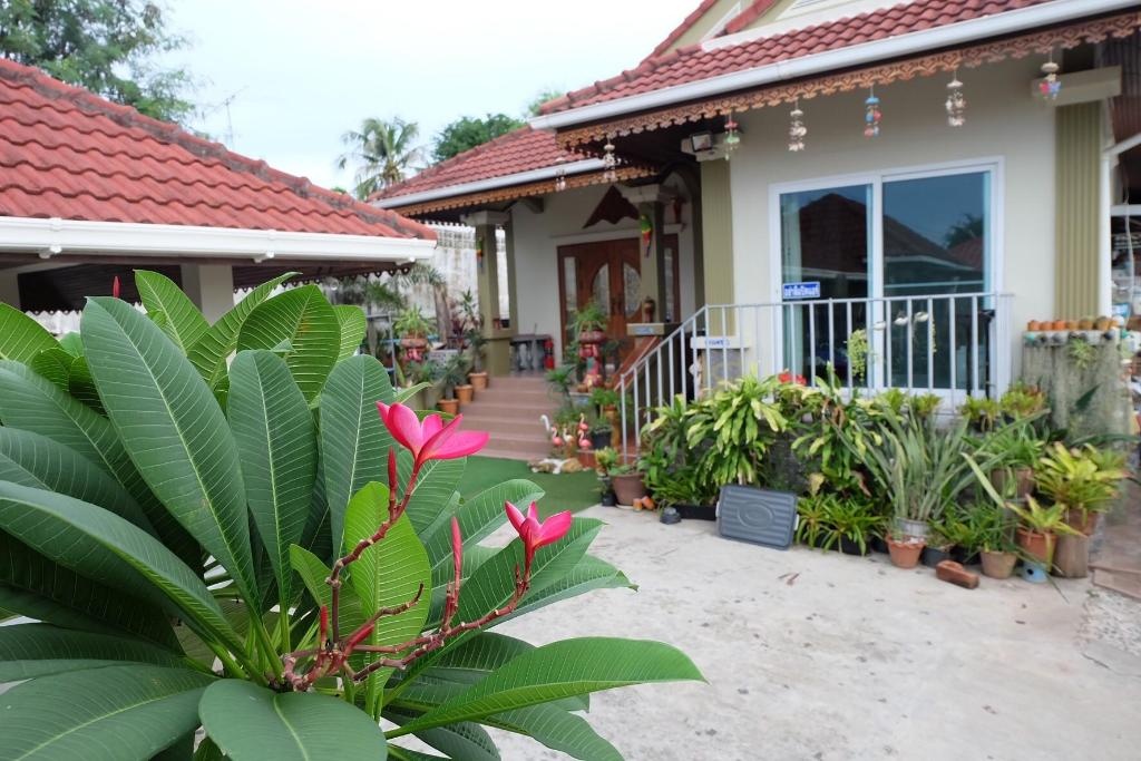 One D HomestayfacilitiesGarden44