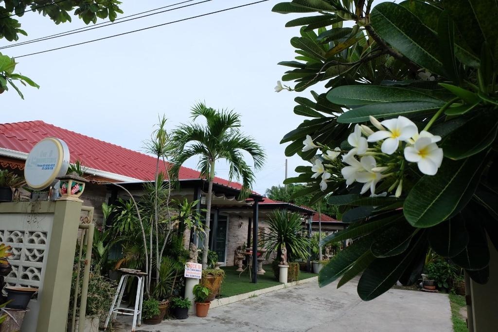 One D HomestayfacilitiesGarden55