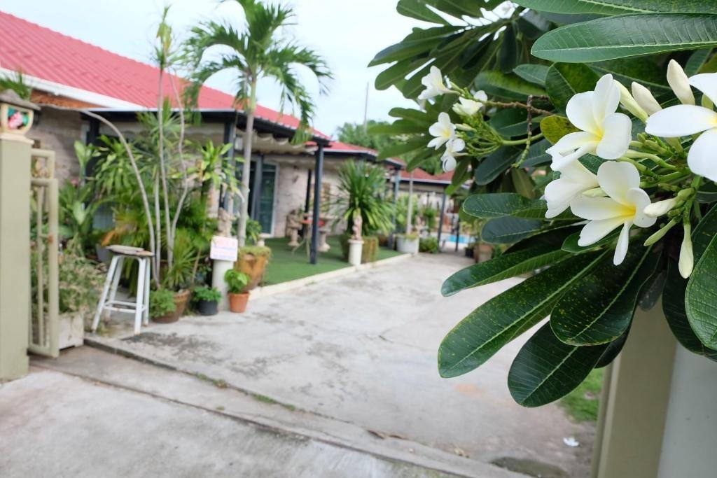 One D HomestayfacilitiesSurrounding Environment54