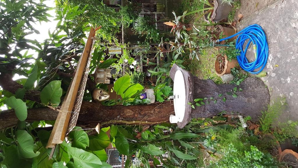 GardenHomefacilitiesGarden9