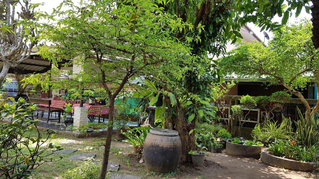 GardenHomefacilitiesSurrounding Environment3