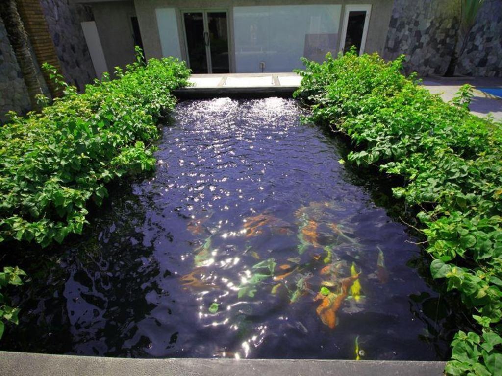 Pratumnak Dream Villa By Pattaya Sunny RentalspropertyviewsExterior View24