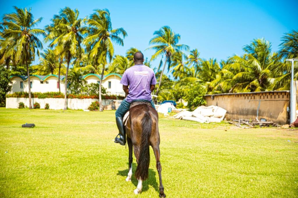 Hotel Sarakawa  Facilities  Horseback Riding 49